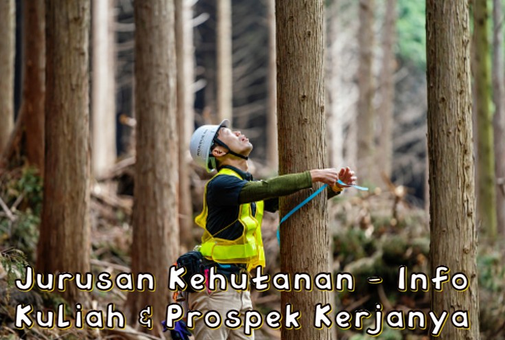 prospek-kerja-kehutanan